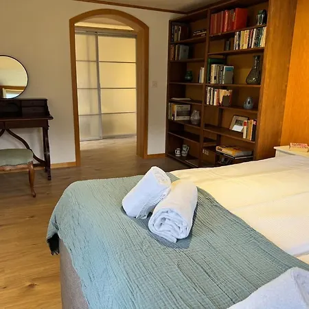 River 3 -kissed Retreat With Iconic Jungfraujoch View 인터라켄